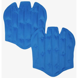 LeMieux ProIce Freeze Gel Packs Pro IceInserts Cold Therapy Heal Tendon Swelling