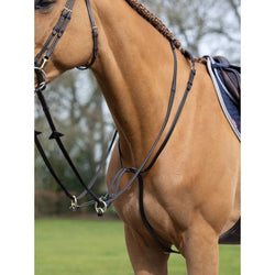 LeMieux Running Martingale Soft Padded Leather + Easy Clips Black/Brown/Havana