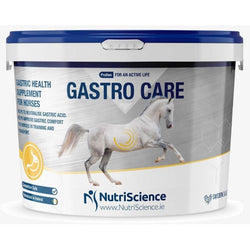 NutriScience Gastro Care Intestine Gut Health Antacid Acid Ease Ulcer Supplement