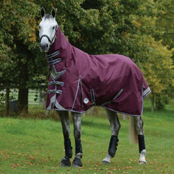 WeatherBeeta ComFiTec Plus Dynamic II Combo Neck Medium/Lite 100g Turnout Rug