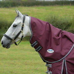 WeatherBeeta ComFiTec Plus Dynamic II Neck Rug Medium/Lite 100g Turnout Hood