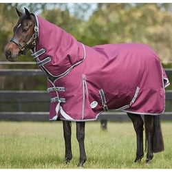 WeatherBeeta ComFiTec Plus DynamicII Detach-A-Neck Mediumweight 220g Turnout Rug
