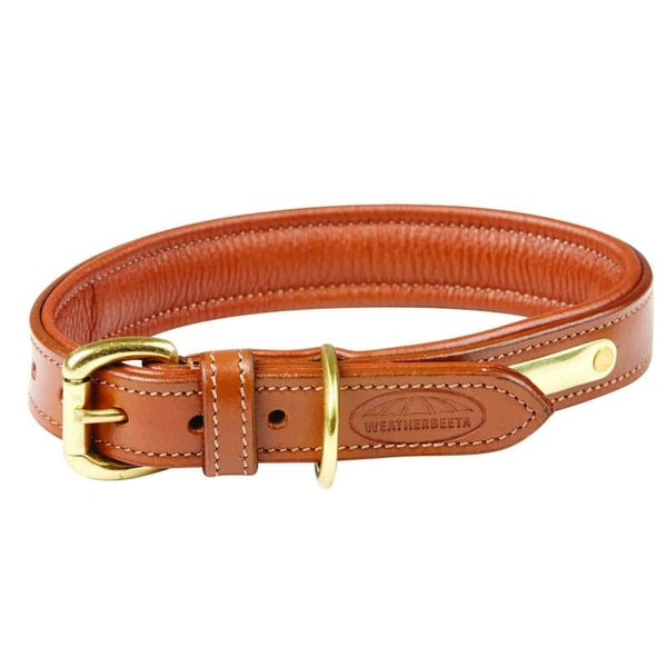 WeatherBeeta Padded Leather Dog Collar Soft Supple and Strong With Brass Fittings SALE