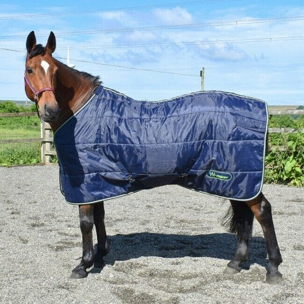 Whitaker Dunford 200g Standard Neck Mediumweight Stable Rug Navy/Lime 4'9" SALE