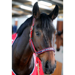 Whitaker Padded Fleece Headcollar Noseband and Headpiece Red/Navy Pony/Cob/Full